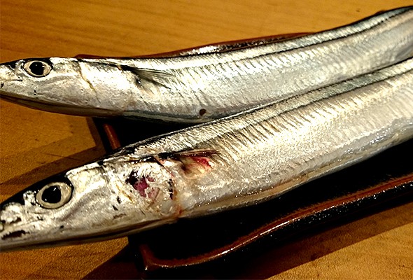 150924-sanma-3